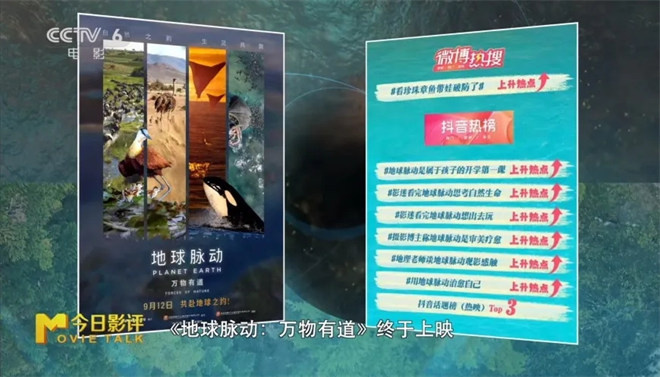 跟随《地球脉动：万物有道》解锁地球极致之美 -1