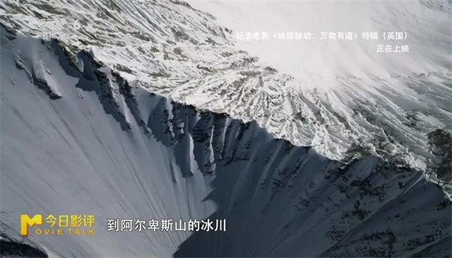 跟随《地球脉动：万物有道》解锁地球极致之美 -4