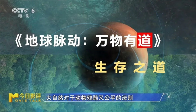 跟随《地球脉动：万物有道》解锁地球极致之美 -10