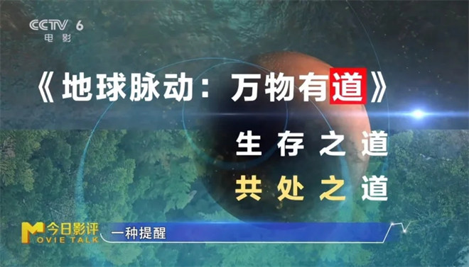 跟随《地球脉动：万物有道》解锁地球极致之美 -18