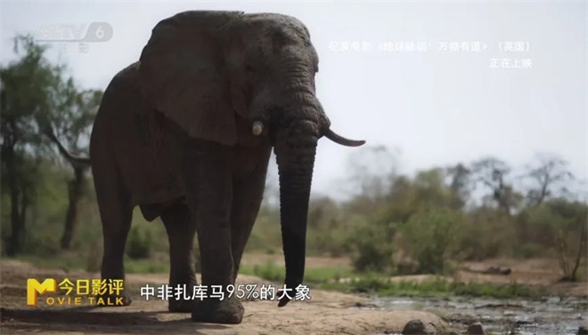 跟随《地球脉动：万物有道》解锁地球极致之美 -19