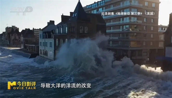 跟随《地球脉动：万物有道》解锁地球极致之美 -22