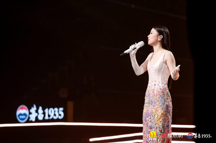湾区升明月月圆喜相逢 2025大湾区电影音乐晚会现场刘涛、于适、周深、王力宏 -12