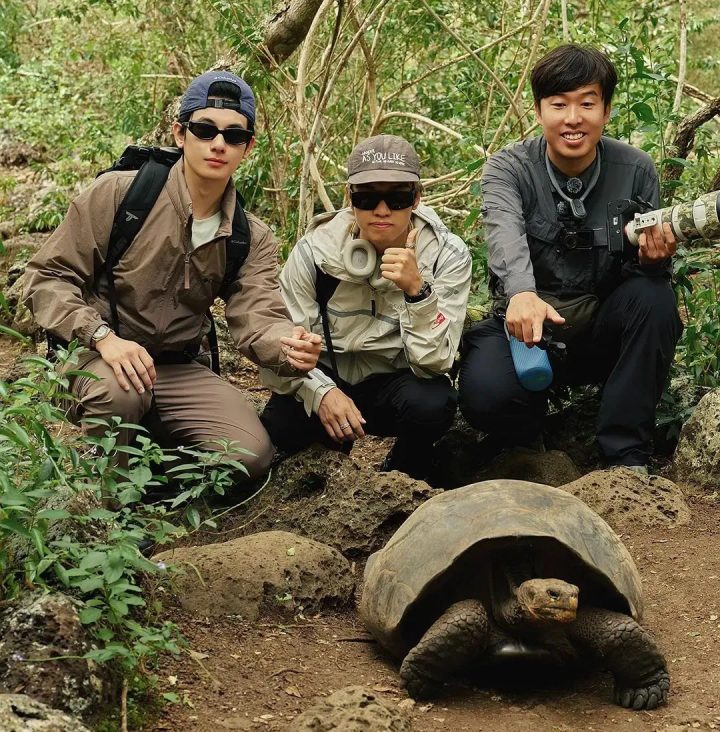 户外探险,答案尽在经典电影《》中 户外探险,答案尽在经典电影《》中