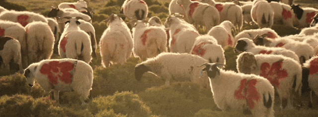 去户外我们想找什么？答案藏在这些经典电影中 -19