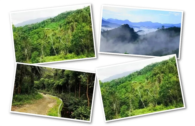 《看不见的客人》:“反转王”的密室与时空诡计 -27 《看不见的客人》:“反转王”的密室与时空诡计 -27