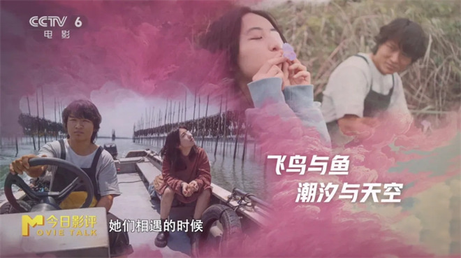 《下一个台风》:张子枫张伟丽如何携手穿越风暴? -7 《下一个台风》:张子枫张伟丽如何携手穿越风暴? -7