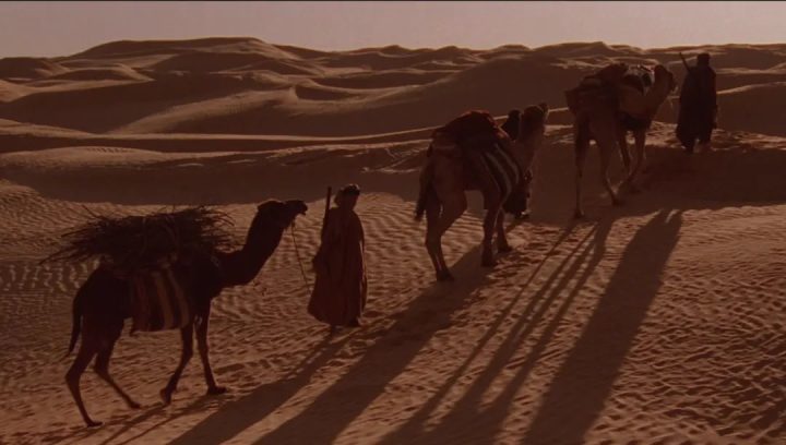 《英国病人》乱世异域中凄美恋情的背后…… -5