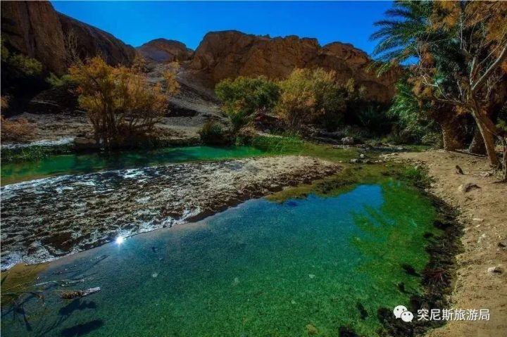 《英国病人》乱世异域中凄美恋情的背后…… -23 《英国病人》乱世异域中凄美恋情的背后…… -23