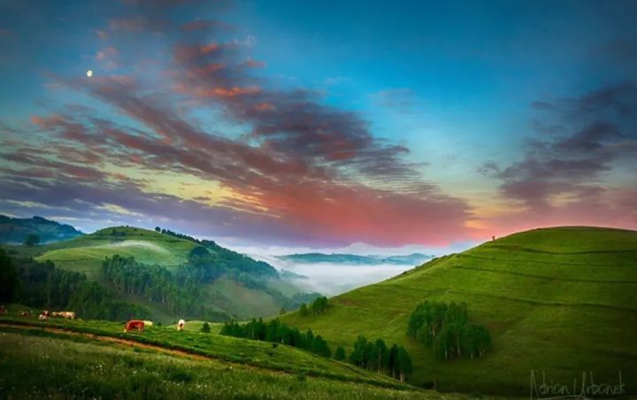 《英国病人》乱世异域中凄美恋情的背后…… -31 《英国病人》乱世异域中凄美恋情的背后…… -31