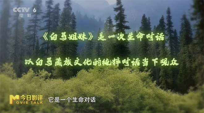 致大城市的年轻人:这部拍了24年的电影为你而作 -12 致大城市的年轻人:这部拍了24年的电影为你而作 -12