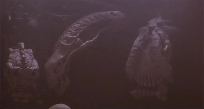 38年历史的科幻动作大片 《铁血战士》复活了? -4 38年历史的科幻动作大片 《铁血战士》复活了? -4