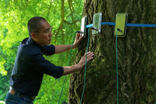 8.7分口碑第一!梁朝伟主演的这部年度佳作来了 -4 8.7分口碑第一!梁朝伟主演的这部年度佳作来了 -4