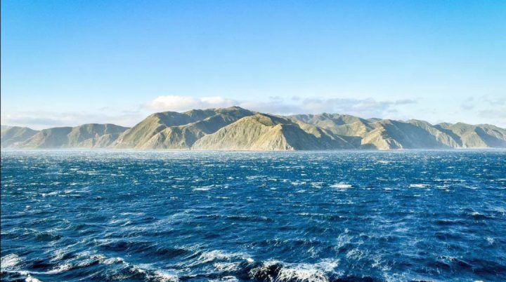 影史130年来最著名的“美女+野兽”竟然是…… -24 影史130年来最著名的“美女+野兽”竟然是…… -24