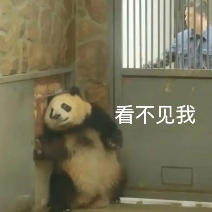 为何我们钟情动画电影里的“疯狂”动物?