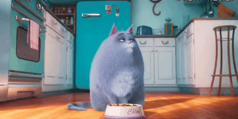 为何我们爱动画电影中那些“疯狂”的动物们？！ -12