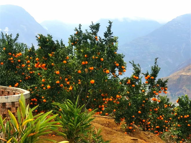 电影《白桔》“创作交流会”在云南昆明举行 -14