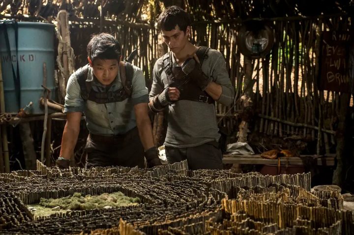 当生活成为24小时直播的“真人秀”，你会怎么做? -16