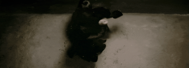 雪景电影：经典银幕中的浪漫雪天