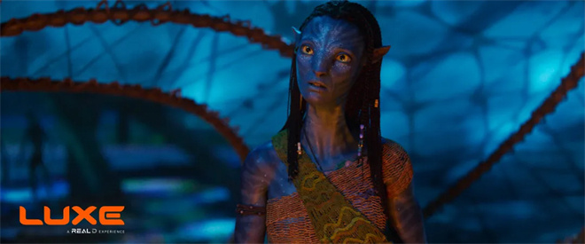 《阿凡达3》年末将映！RealD推出专属主题3D眼镜 -3