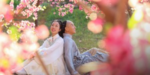 <?php the_title(); ?>