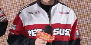 <?php the_title(); ?>