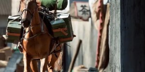 <?php the_title(); ?>