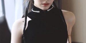 <?php the_title(); ?>