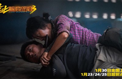 谢苗正义铁拳惩凶除恶!《东北警察故事3》曝预告
