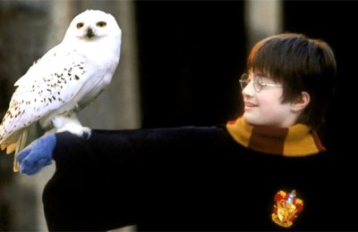 霍格沃茨的他们，也过春节？