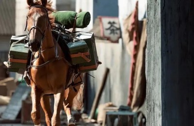 与银幕经典“马主角”们来场深层次精神对话！